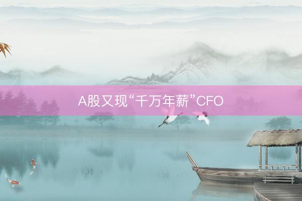 A股又现“千万年薪”CFO