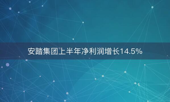 安踏集团上半年净利润增长14.5%