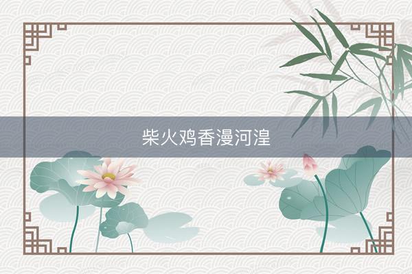 柴火鸡香漫河湟