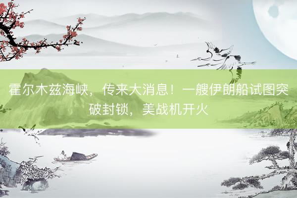 霍尔木兹海峡，传来大消息！一艘伊朗船试图突破封锁，美战机开火