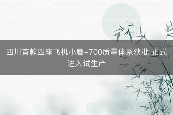 四川首款四座飞机小鹰-700质量体系获批 正式进入试生产