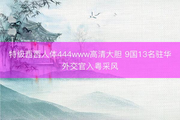 特级西西人体444www高清大胆 9国13名驻华外交官入粤采风