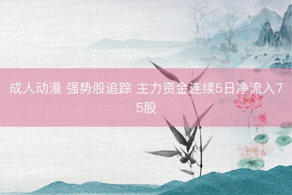 成人动漫 强势股追踪 主力资金连续5日净流入75股