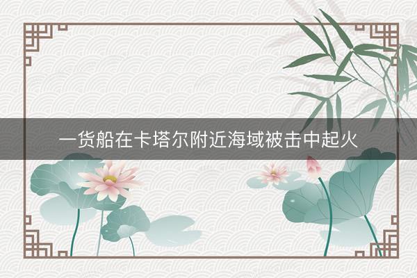 一货船在卡塔尔附近海域被击中起火