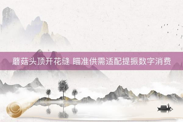 蘑菇头顶开花缝 瞄准供需适配提振数字消费