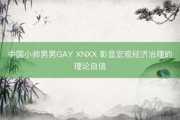 中国小帅男男GAY XNXX 彰显宏观经济治理的理论自信