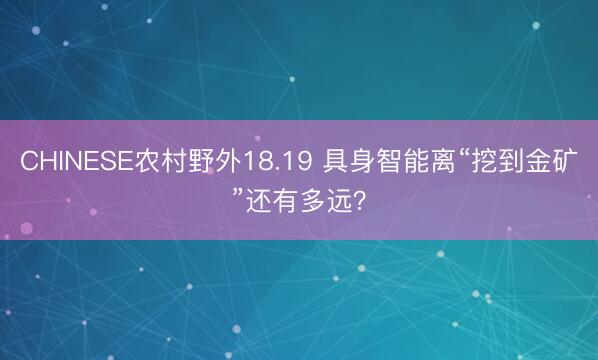 CHINESE农村野外18.19 具身智能离“挖到金矿”还有多远？