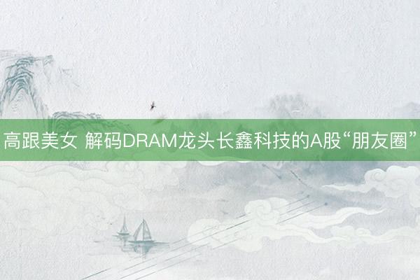 高跟美女 解码DRAM龙头长鑫科技的A股“朋友圈”