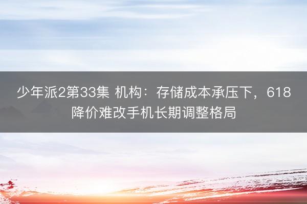 少年派2第33集 机构：存储成本承压下，618降价难改手机长期调整格局