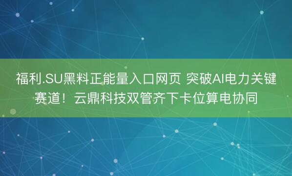 福利.SU黑料正能量入口网页 突破AI电力关键赛道！云鼎科技双管齐下卡位算电协同