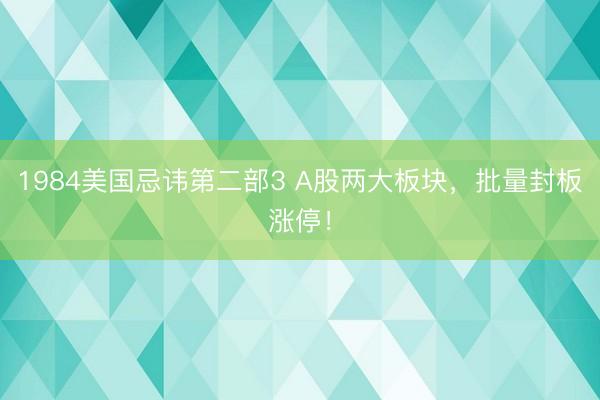 1984美国忌讳第二部3 A股两大板块，批量封板涨停！