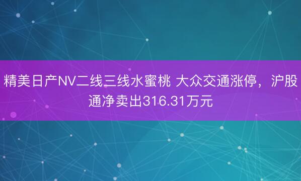 精美日产NV二线三线水蜜桃 大众交通涨停，沪股通净卖出316.31万元
