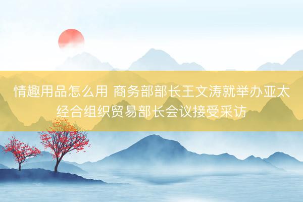 情趣用品怎么用 商务部部长王文涛就举办亚太经合组织贸易部长会议接受采访