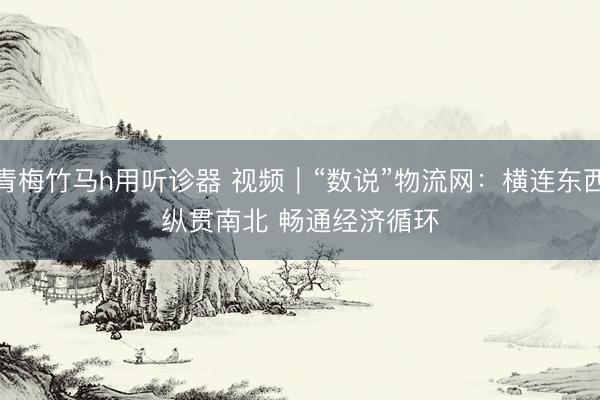 青梅竹马h用听诊器 视频|“数说”物流网:横连东西纵贯南北 畅通经济循环
