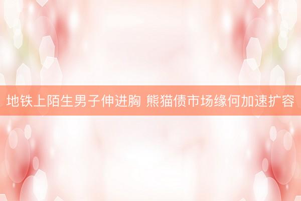 地铁上陌生男子伸进胸 熊猫债市场缘何加速扩容