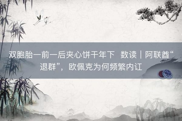 双胞胎一前一后夹心饼干年下  数读｜阿联酋“退群”，欧佩克为何频繁内讧