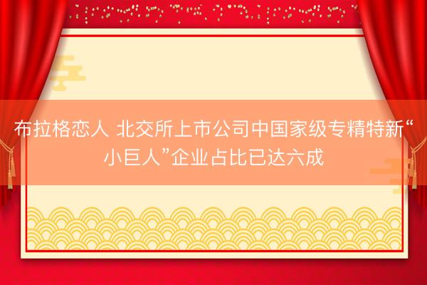 布拉格恋人 北交所上市公司中国家级专精特新“小巨人”企业占比已达六成