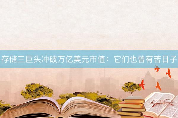 存储三巨头冲破万亿美元市值：它们也曾有苦日子