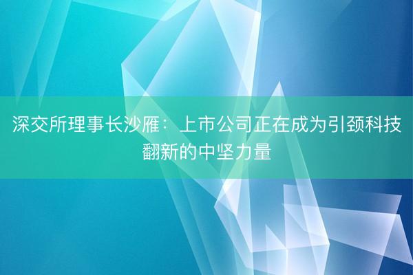 深交所理事长沙雁：上市公司正在成为引颈科技翻新的中坚力量