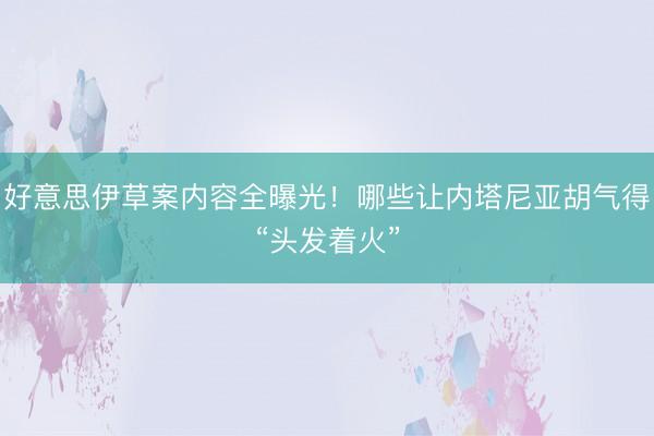 好意思伊草案内容全曝光！哪些让内塔尼亚胡气得“头发着火”
