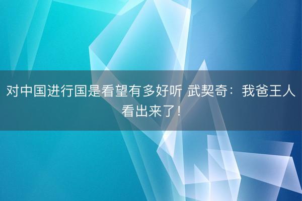 对中国进行国是看望有多好听 武契奇：我爸王人看出来了！