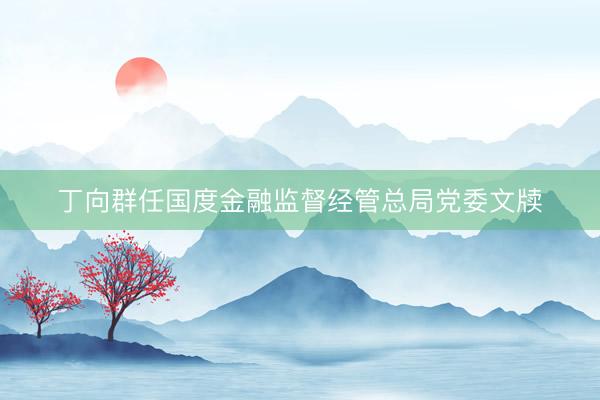 丁向群任国度金融监督经管总局党委文牍