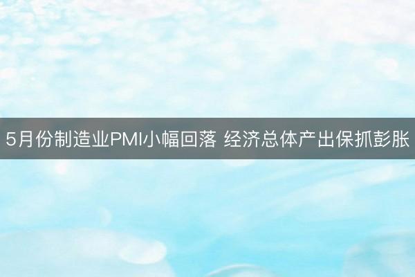 5月份制造业PMI小幅回落 经济总体产出保抓彭胀