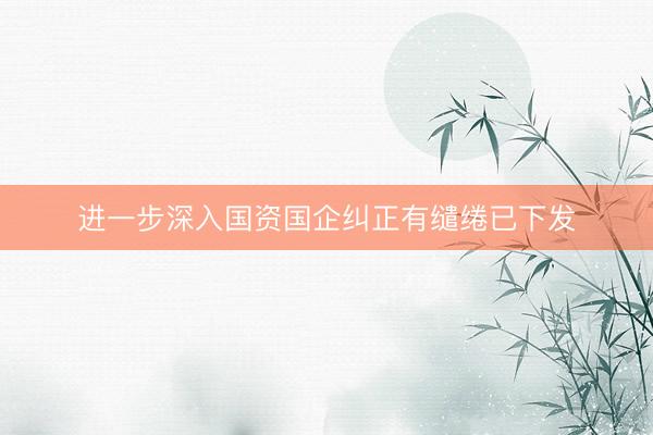 进一步深入国资国企纠正有缱绻已下发