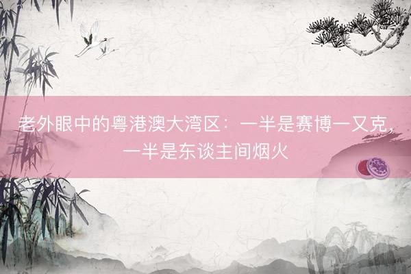 老外眼中的粤港澳大湾区：一半是赛博一又克，一半是东谈主间烟火