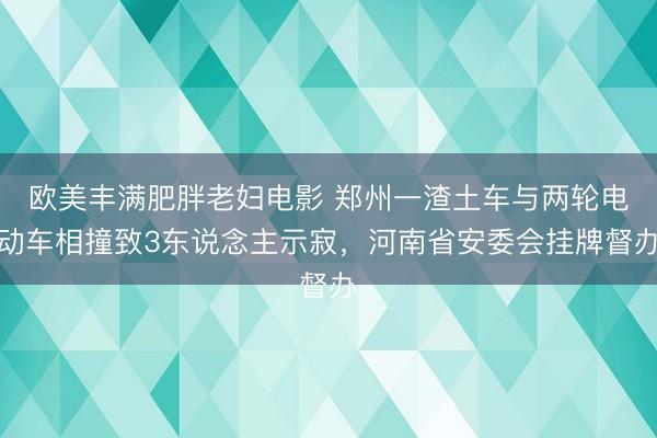 欧美丰满肥胖老妇电影 郑州一渣土车与两轮电动车相撞致3东说念主示寂，河南省安委会挂牌督办
