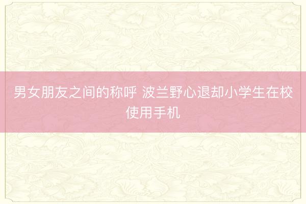 男女朋友之间的称呼 波兰野心退却小学生在校使用手机