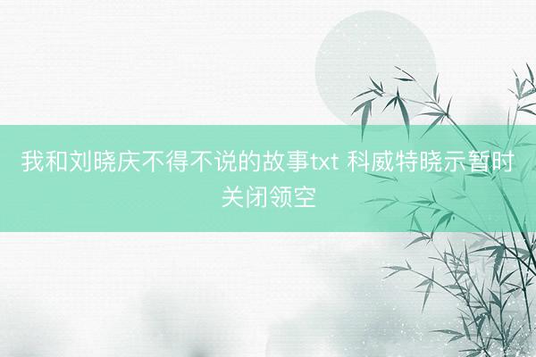 我和刘晓庆不得不说的故事txt 科威特晓示暂时关闭领空