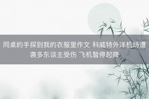 同桌的手探到我的衣服里作文 科威特外洋机场遭袭多东谈主受伤 飞机暂停起降