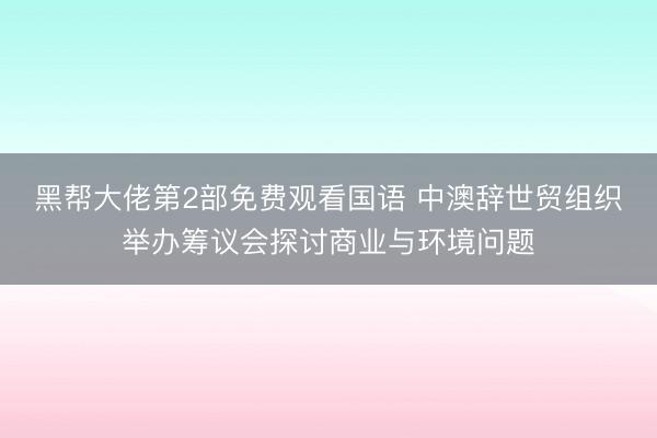 黑帮大佬第2部免费观看国语 中澳辞世贸组织举办筹议会探讨商业与环境问题