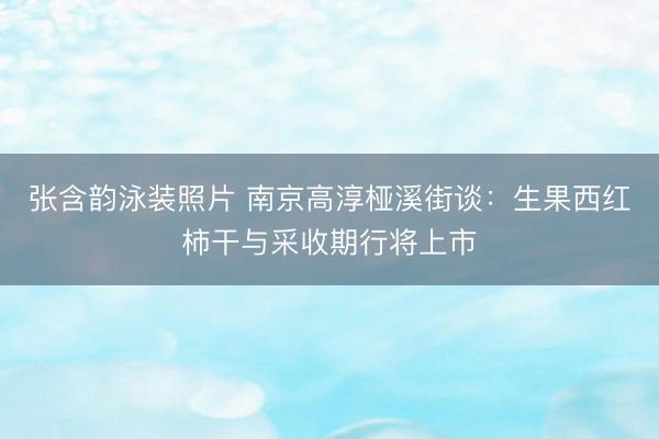张含韵泳装照片 南京高淳桠溪街谈：生果西红柿干与采收期行将上市