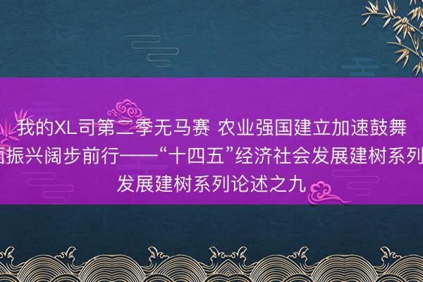 我的XL司第二季无马赛 农业强国建立加速鼓舞 乡村全面振兴阔步前行——“十四五”经济社会发展建树系列论述之九