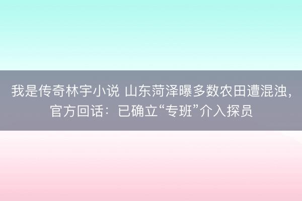 我是传奇林宇小说 山东菏泽曝多数农田遭混浊，官方回话：已确立“专班”介入探员