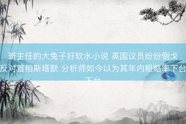 班主任的大兔子好软水小说 英国议员纷纷倒戈反对首相斯塔默 分析师如今以为其年内粗略率下台