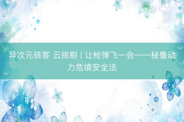 异次元骇客 云挑剔 | 让枪弹飞一会——秘鲁动力危境安全法