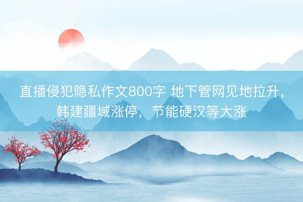 直播侵犯隐私作文800字 地下管网见地拉升，韩建疆域涨停，节能硬汉等大涨