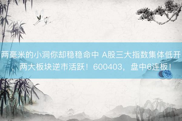 两毫米的小洞你却稳稳命中 A股三大指数集体低开，两大板块逆市活跃！600403，盘中6连板！