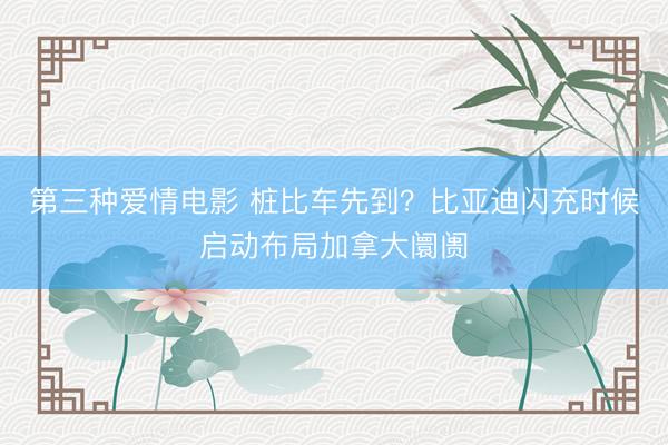 第三种爱情电影 桩比车先到？比亚迪闪充时候启动布局加拿大阛阓