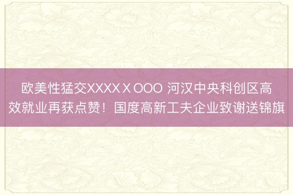 欧美性猛交XXXXⅩOOO 河汉中央科创区高效就业再获点赞!国度高新工夫企业致谢送锦旗