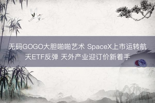 无码GOGO大胆啪啪艺术 SpaceX上市运转航天ETF反弹 天外产业迎订价新着手