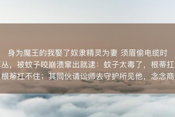身为魔王的我娶了奴隶精灵为妻 须眉偷电缆时撞上民警，慌忙躲进草丛，被蚊子咬崩溃窜出就逮：蚊子太毒了，根蒂扛不住；其同伙请讼师去守护所见他，念念商议对策恶果也被持