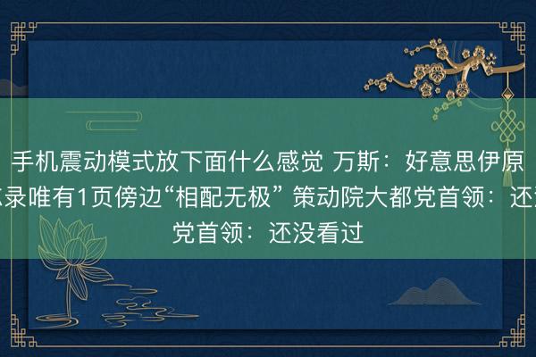 手机震动模式放下面什么感觉 万斯：好意思伊原宥备忘录唯有1页傍边“相配无极” 策动院大都党首领：还没看过