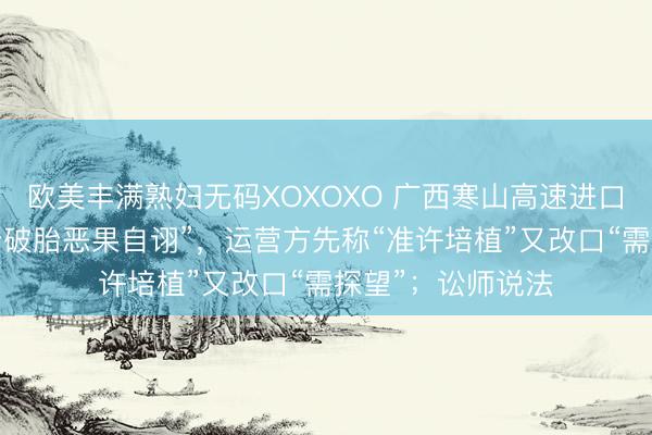 欧美丰满熟妇无码XOXOXO 广西寒山高速进口设破胎器，“冲卡破胎恶果自诩”，运营方先称“准许培植”又改口“需探望”；讼师说法