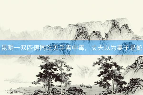 昆明一双匹俦同吃见手青中毒，丈夫以为妻子是蛇