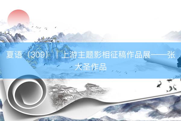夏语（309）｜上游主题影相征稿作品展——张大圣作品